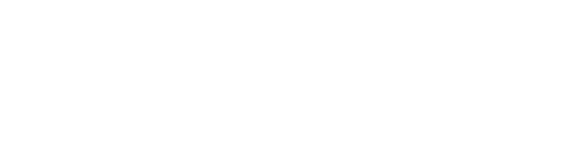 Shopify icon